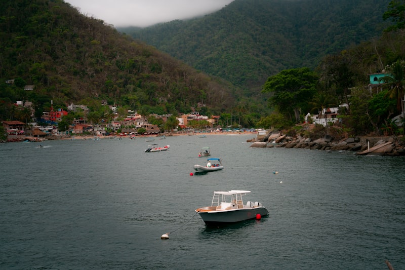 Boats float in a bay with a town and mountains.