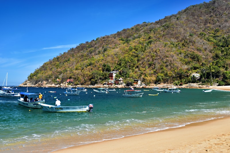 Boats sit in a beautiful tropical bay.