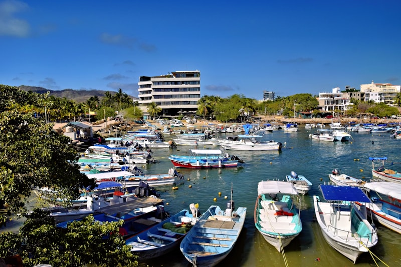 Boats moored in a sunny harbor with buildings behind.
