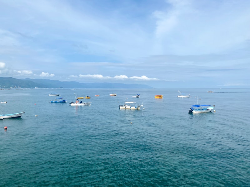 white and blue boat on sea under blue sky during daytime
